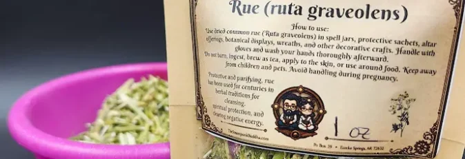 ruta graveolens common rue